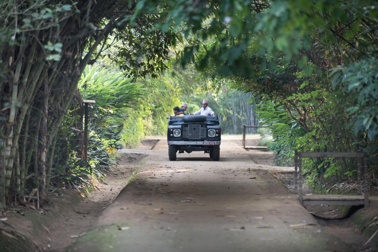 Tiger Tops Tharu Lodge Chitwan Zewnętrze zdjęcie