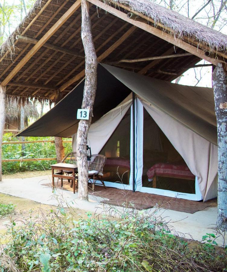 Tiger Tops Tharu Lodge Chitwan Zewnętrze zdjęcie