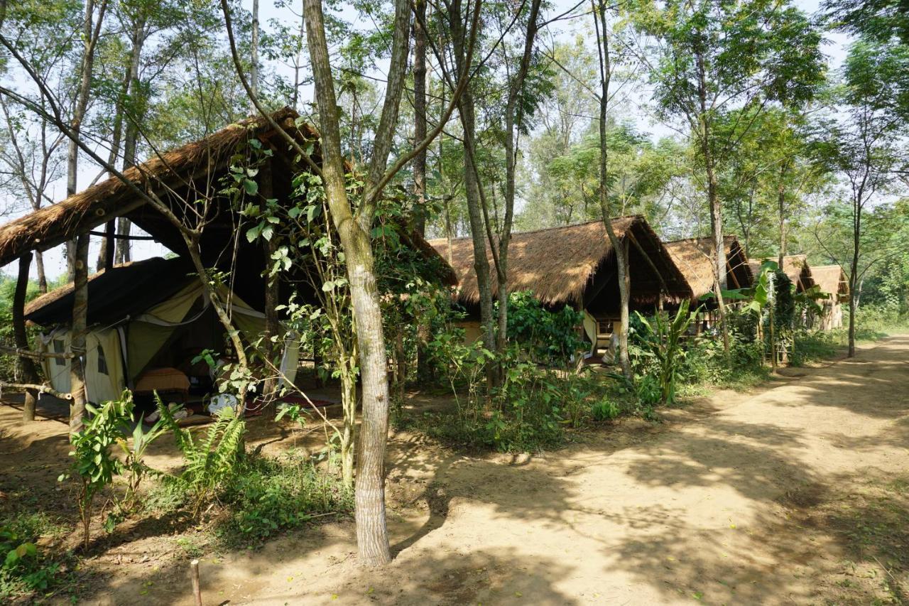 Tiger Tops Tharu Lodge Chitwan Zewnętrze zdjęcie