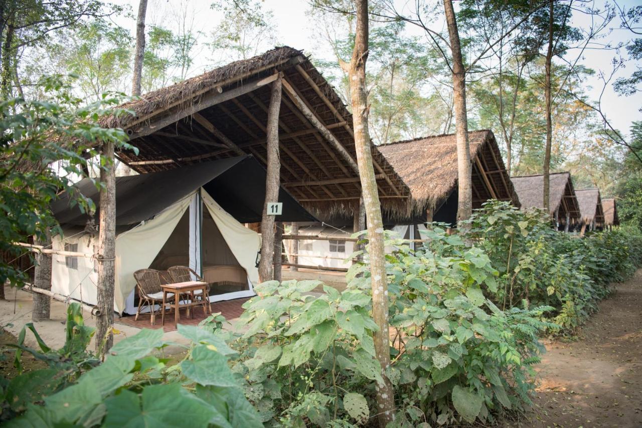 Tiger Tops Tharu Lodge Chitwan Zewnętrze zdjęcie