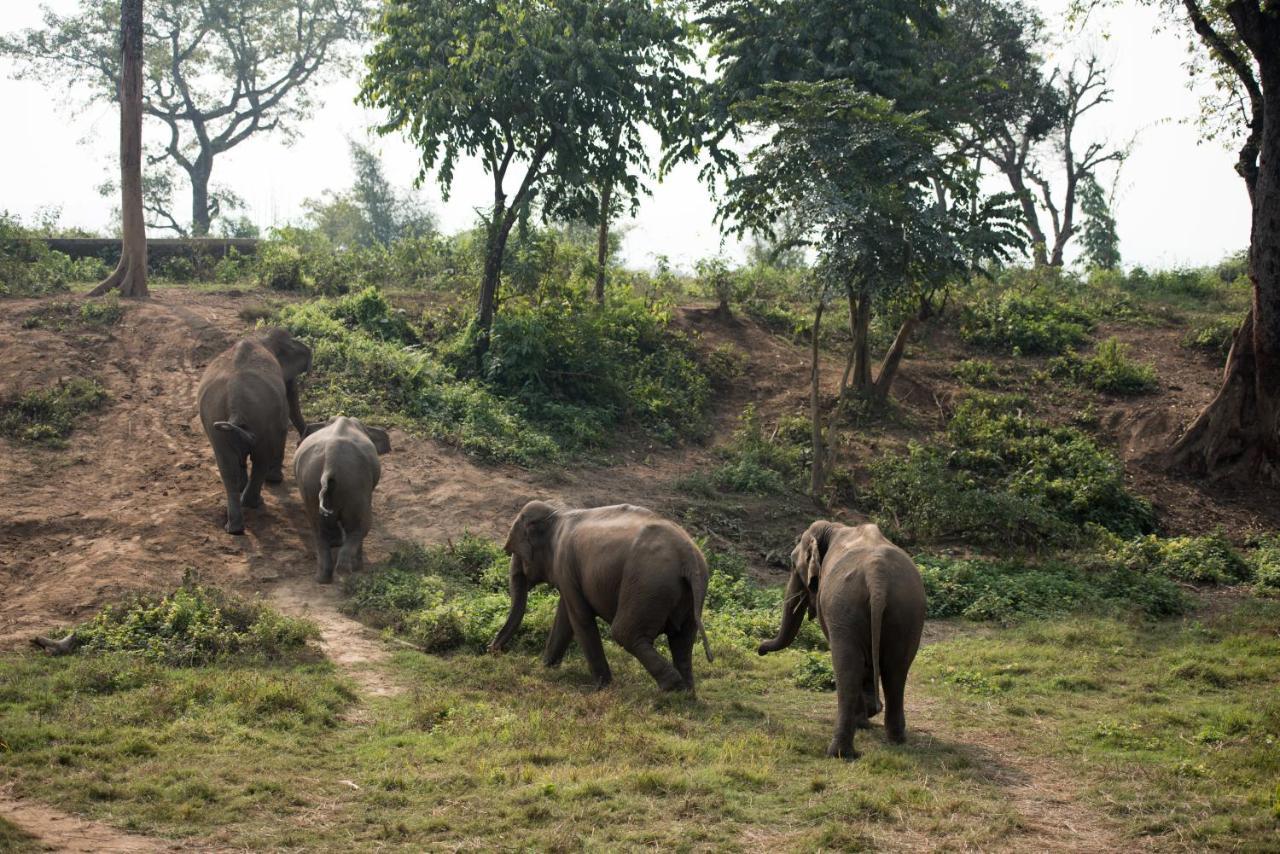 Tiger Tops Tharu Lodge Chitwan Zewnętrze zdjęcie