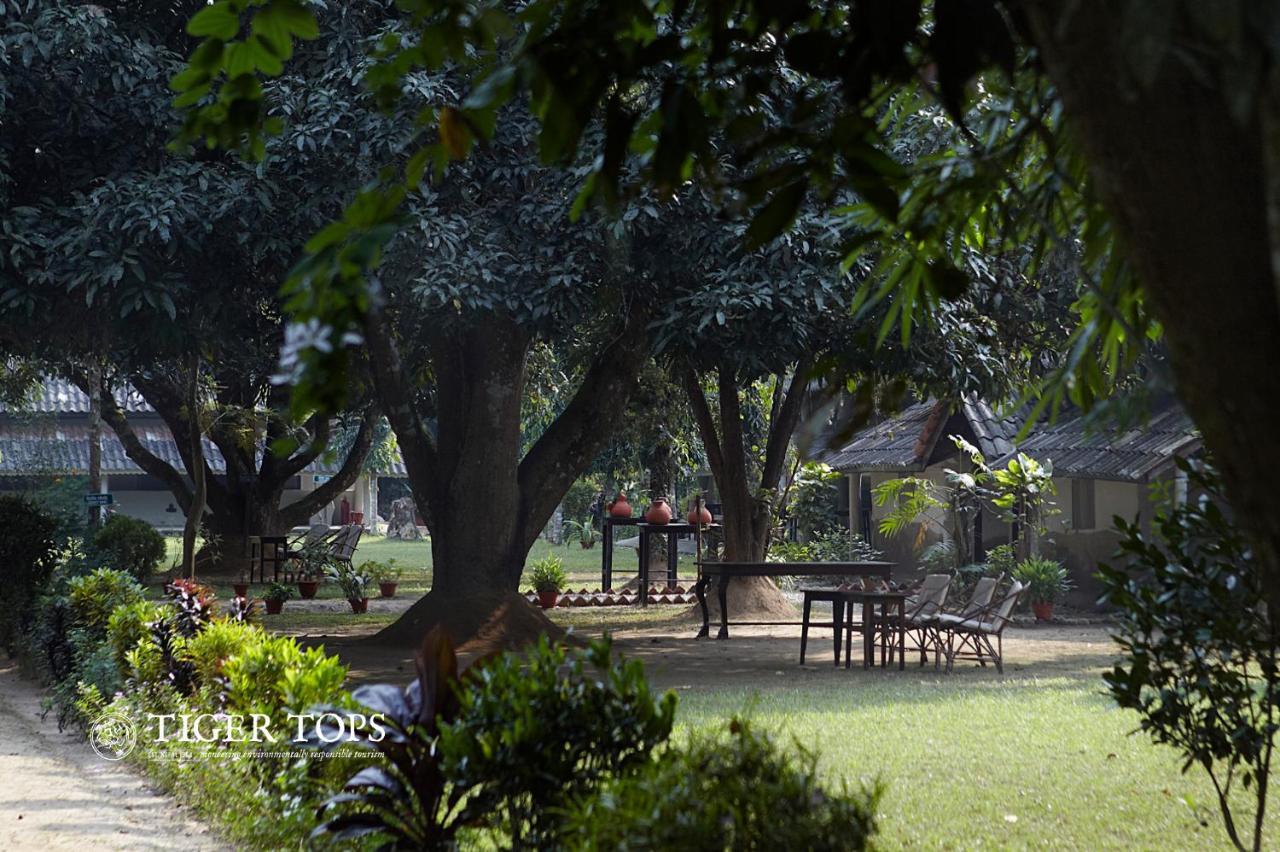 Tiger Tops Tharu Lodge Chitwan Zewnętrze zdjęcie