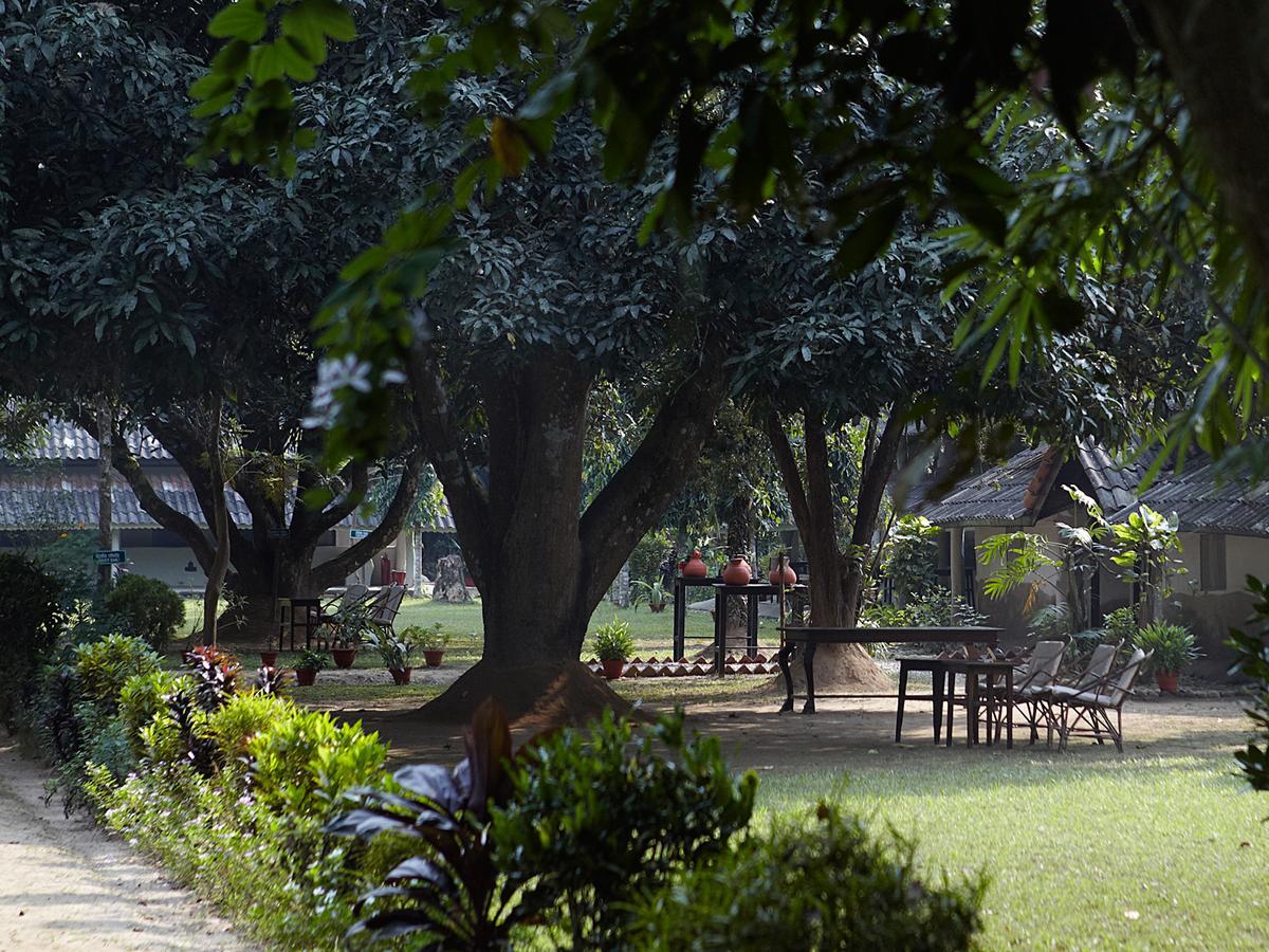 Tiger Tops Tharu Lodge Chitwan Zewnętrze zdjęcie
