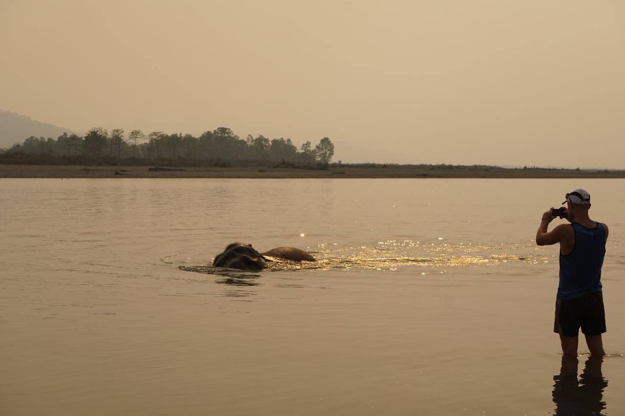 Tiger Tops Tharu Lodge Chitwan Zewnętrze zdjęcie