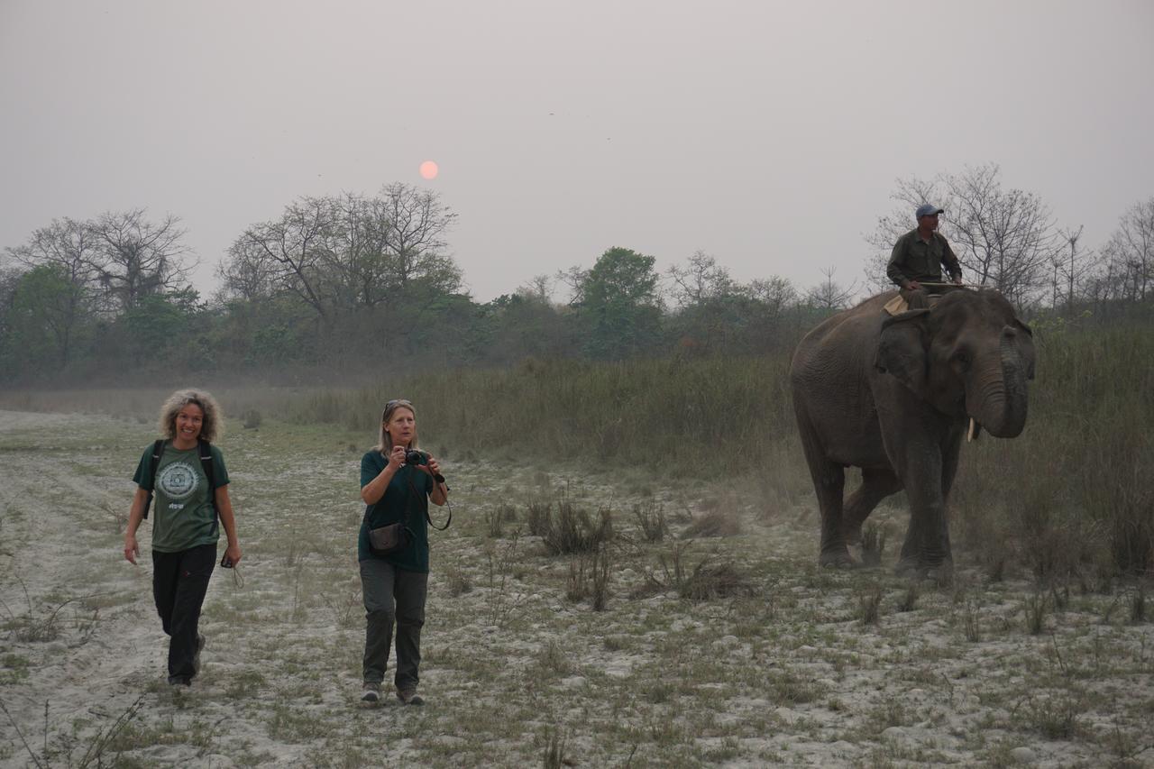 Tiger Tops Tharu Lodge Chitwan Zewnętrze zdjęcie