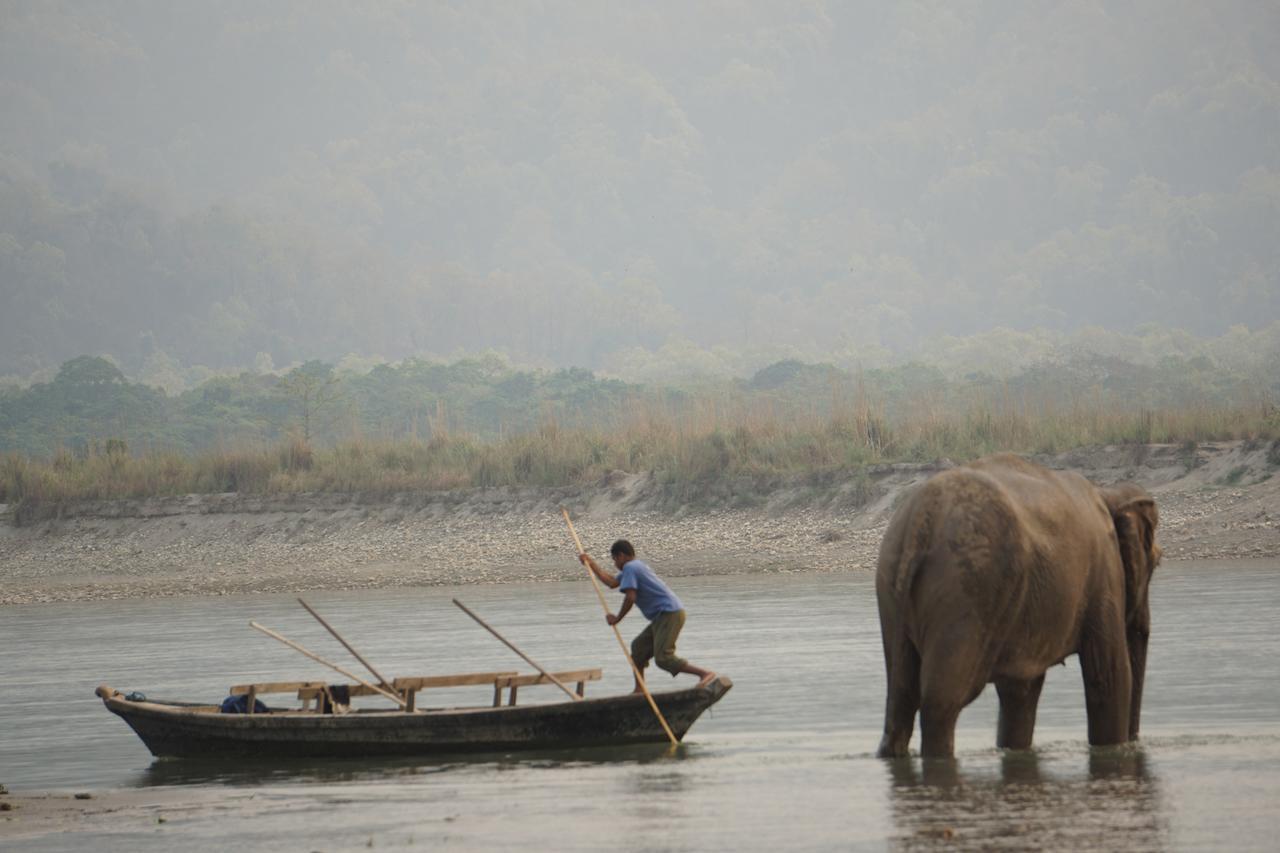 Tiger Tops Tharu Lodge Chitwan Zewnętrze zdjęcie