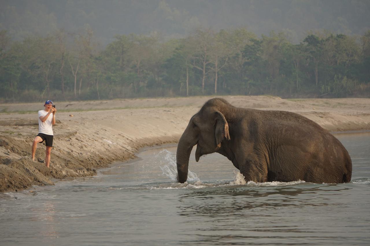 Tiger Tops Tharu Lodge Chitwan Zewnętrze zdjęcie
