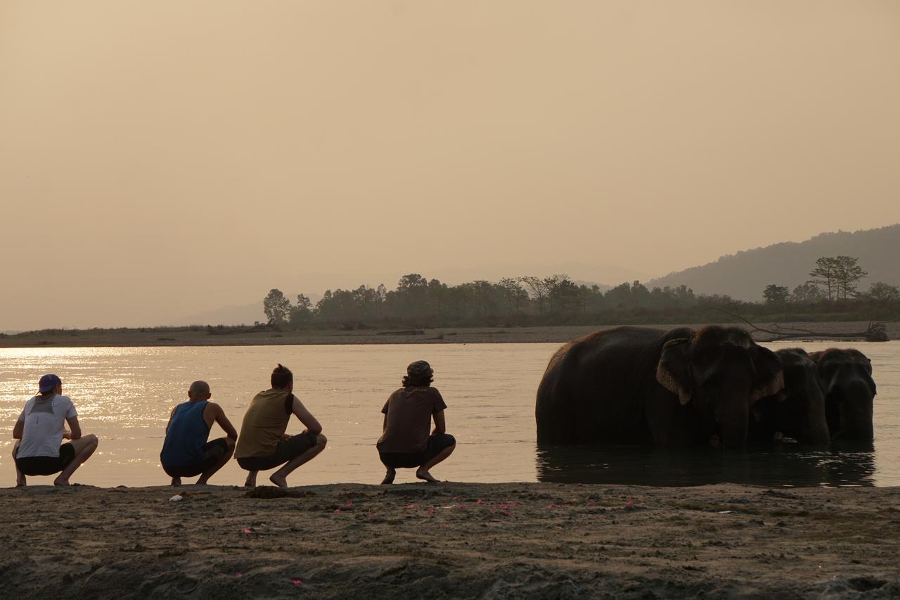 Tiger Tops Tharu Lodge Chitwan Zewnętrze zdjęcie