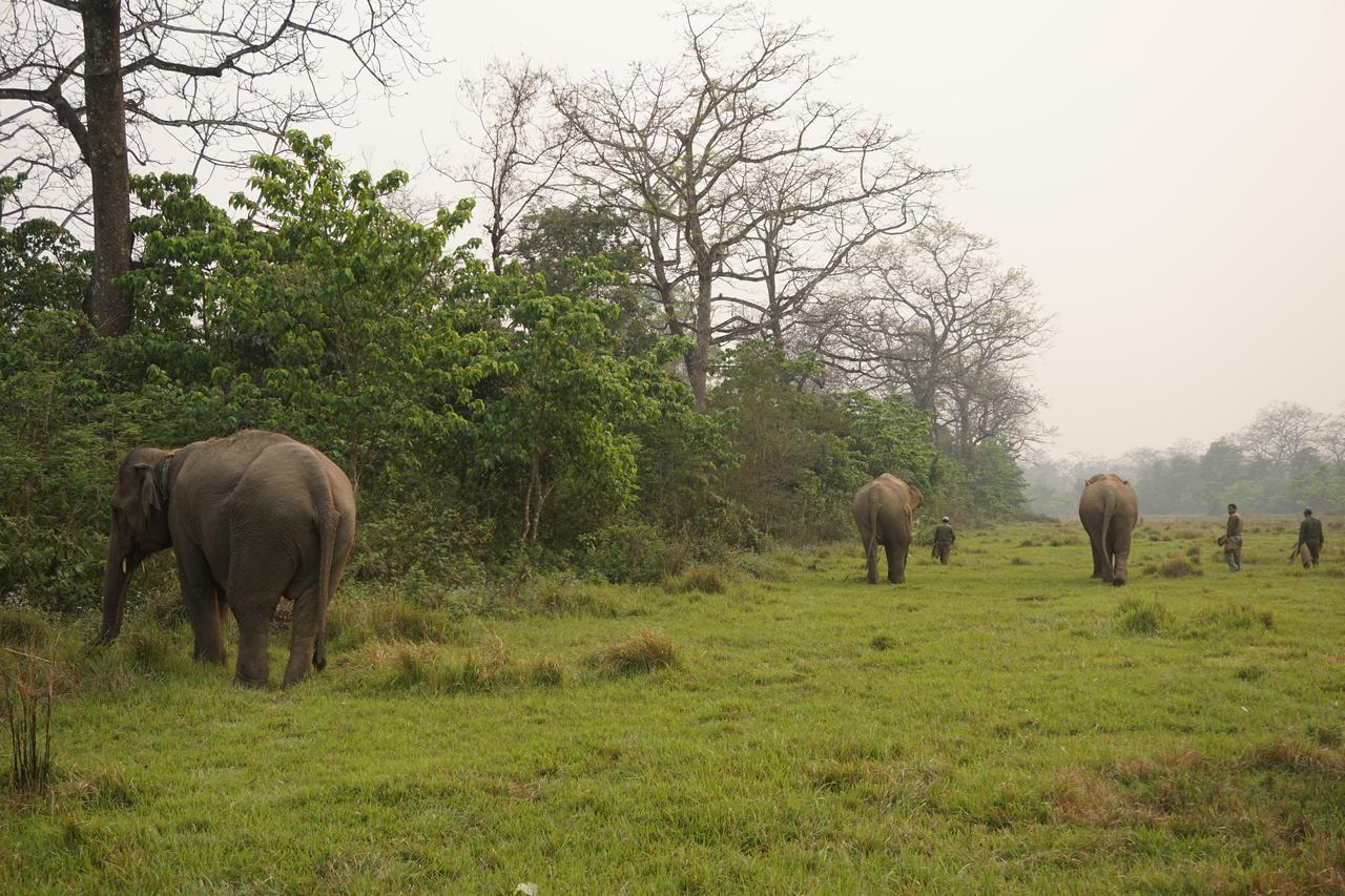 Tiger Tops Tharu Lodge Chitwan Zewnętrze zdjęcie