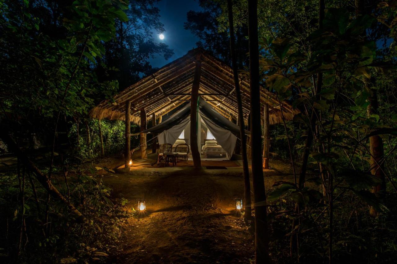 Tiger Tops Tharu Lodge Chitwan Zewnętrze zdjęcie