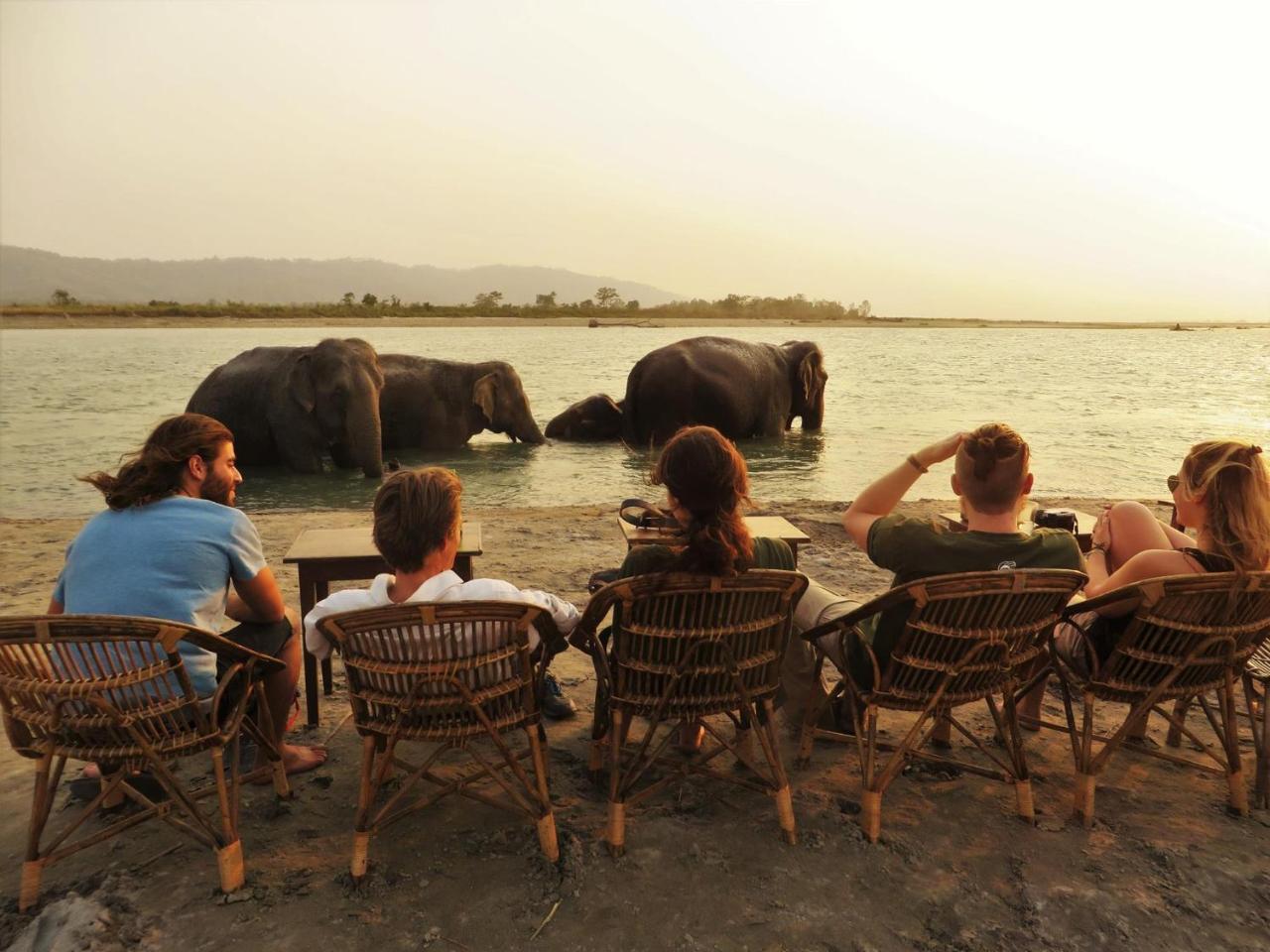 Tiger Tops Tharu Lodge Chitwan Zewnętrze zdjęcie