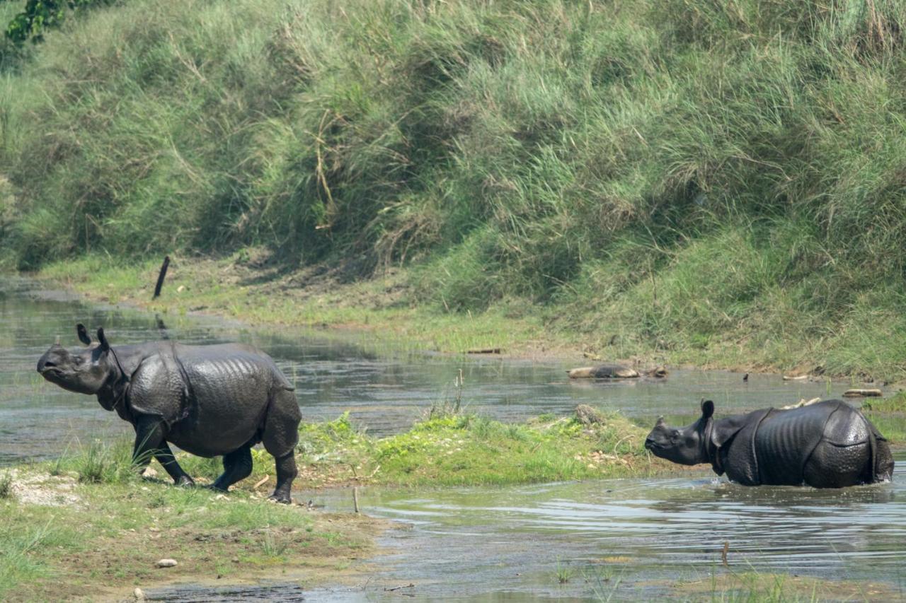 Tiger Tops Tharu Lodge Chitwan Zewnętrze zdjęcie