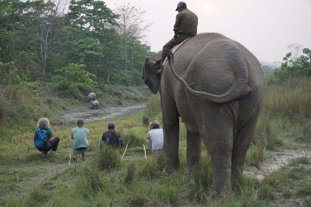 Tiger Tops Tharu Lodge Chitwan Zewnętrze zdjęcie